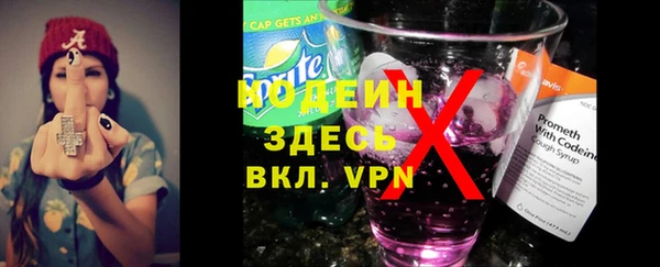 мдпв Майский