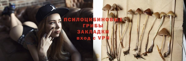 метадон Магас