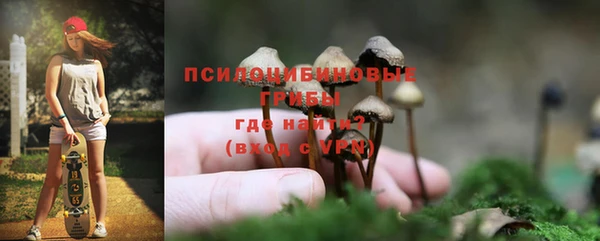 PSILOCYBIN Магадан