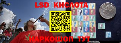 спайс Кимры