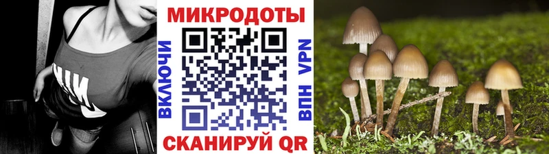 Галлюциногенные грибы прущие грибы  Нарьян-Мар 