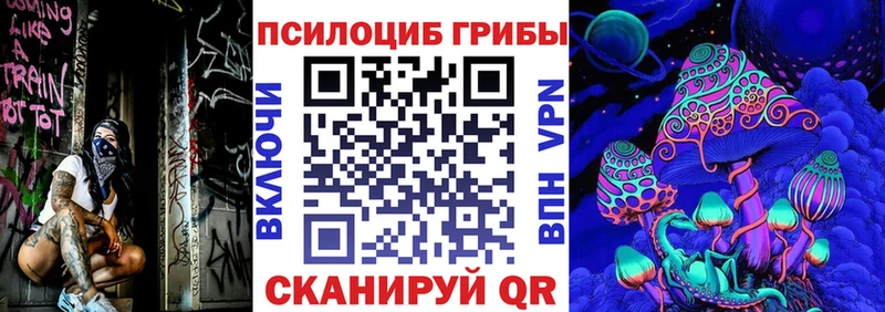 Псилоцибиновые грибы Psilocybe Нарьян-Мар